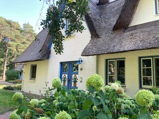 Blick auf das Haus