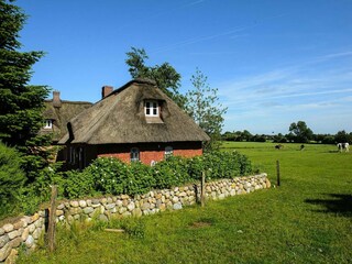 Maison de vacances Behrendorf Enregistrement extérieur 2