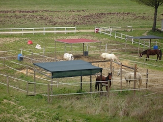 Boerderij Collesalvetti  39