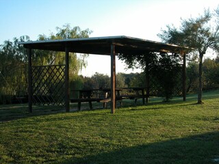 Type de propriété : Ferme Collesalvetti Enregistrement extérieur 14