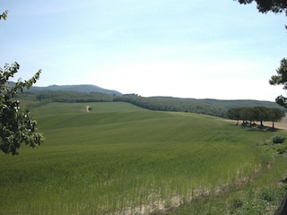 Bauernhof Collesalvetti Außenaufnahme 13