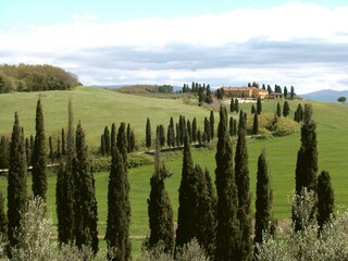 Fattoria Collesalvetti Ambiente 28