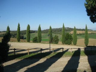 Bauernhof Collesalvetti Umgebung 28