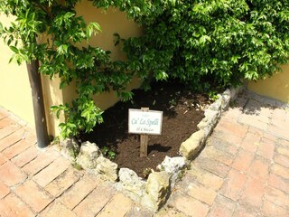 Casa de campo Collesalvetti  37