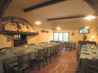 Type de propriété : Ferme Collesalvetti  33