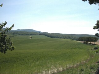 Fattoria Collesalvetti Registrazione all'aperto 3