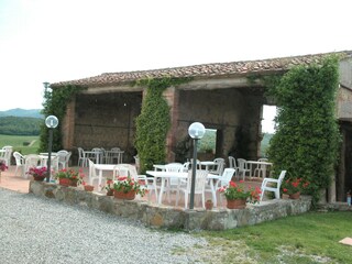 Type de propriété : Ferme Collesalvetti  36