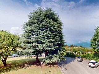 Apartment Manerba del Garda Umgebung 42
