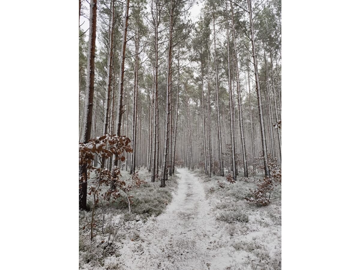 Naturpark im Winter