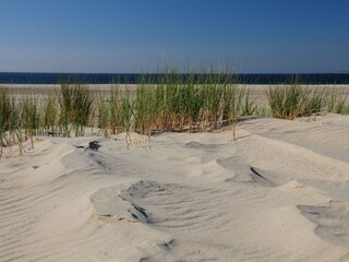 Casa per le vacanze Kamperland Ambiente 10