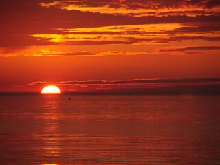 Casa per le vacanze Kamperland Ambiente 11