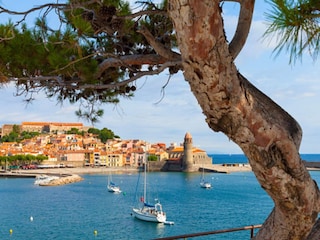 Apartment Collioure Umgebung 25