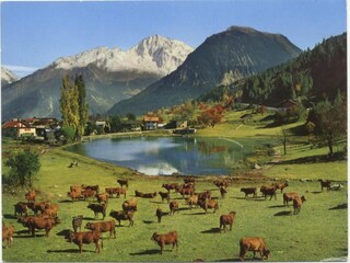 Appartement Saint-Bon-Tarentaise Environnement 19