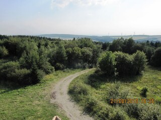 Holiday apartment Horn-Bad Meinberg Environment 20