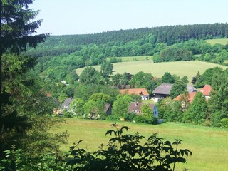 Holiday apartment Horn-Bad Meinberg Environment 21