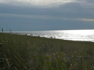 Zingst - reizvoll bei jedem Wetter