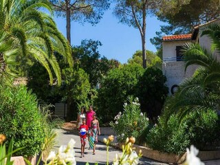 Apartment Saint-Raphael  18