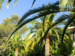 Apartamento Saint-Raphael  12