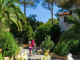 Apartment Saint-Raphael  17