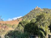 Appartement Collioure  1