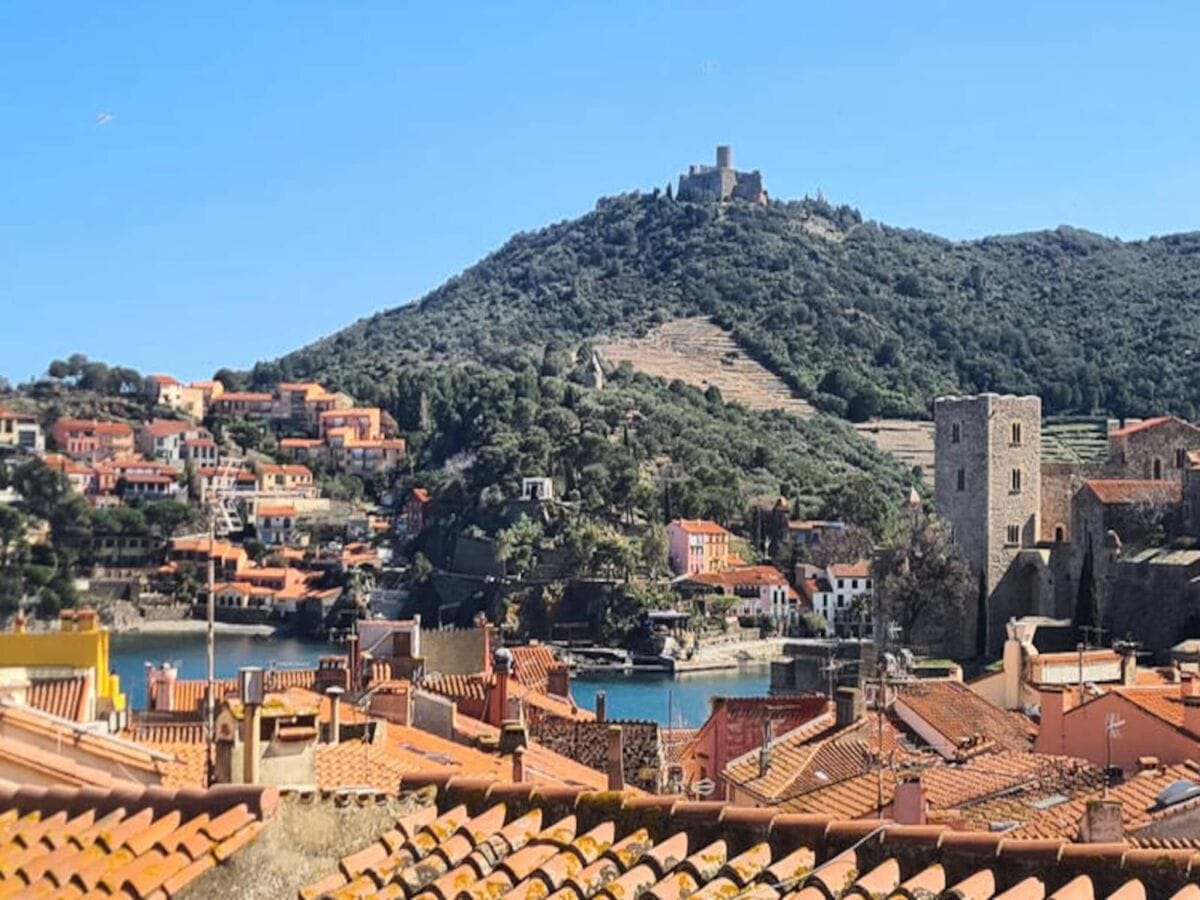 Appartement Collioure  1