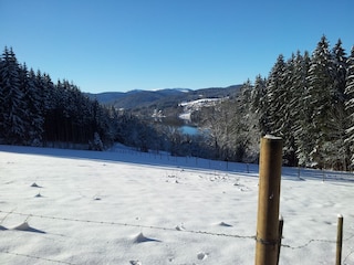 Blick auf den Titisee 2015