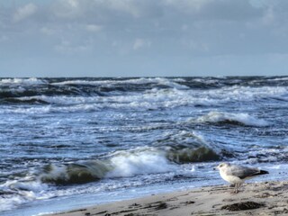 Weststrand
