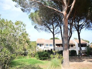 Apartment Sainte-Maxime  5