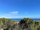 Appartement Collioure  1