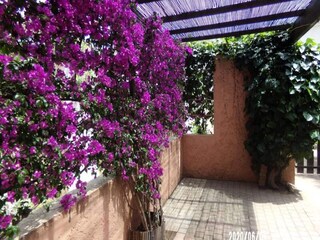 Apartamento Six-Fours-les-Plages  9