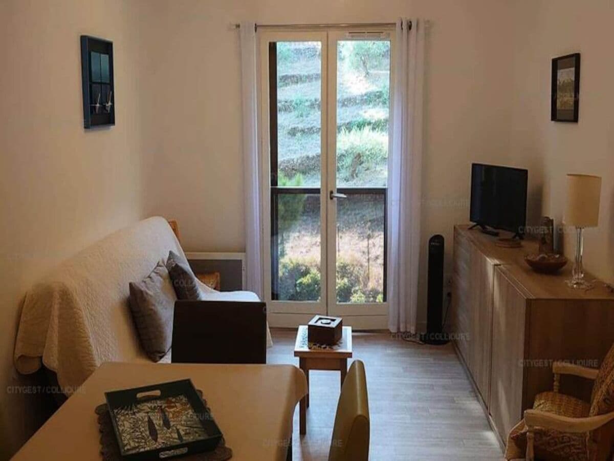 Apartment Collioure  1