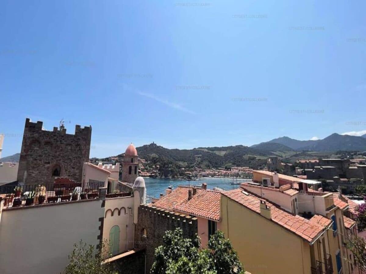 Apartment Collioure  1