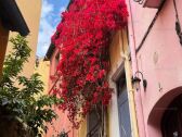 Appartement Collioure  1