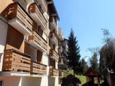 Appartement Les Deux Alpes  1