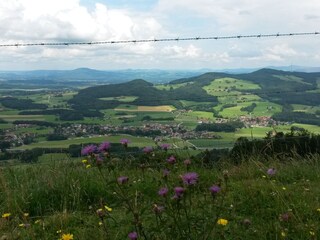 Appartamento per vacanze Anger Ambiente 17