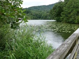 Apartamento de vacaciones Anger Entorno 18