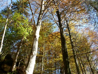 Appartamento per vacanze Anger Ambiente 22