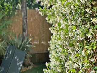 Apartment Sainte-Maxime  18