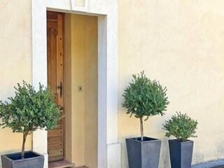 Apartamento Sainte-Maxime  16
