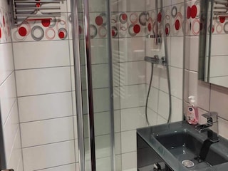 Appartamento Miribel-Lanchâtre Caratteristiche 17