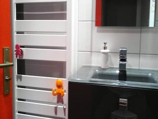 Appartamento Miribel-Lanchâtre Caratteristiche 20