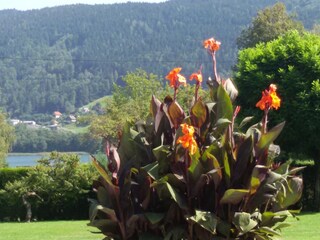 Appartamento per vacanze Bodensdorf Registrazione all'aperto 15