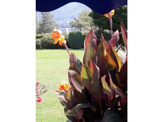 Appartamento per vacanze Bodensdorf Registrazione all'aperto 18