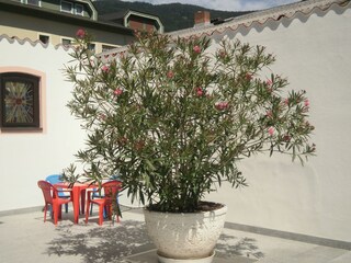 Appartamento per vacanze Bodensdorf Registrazione all'aperto 8