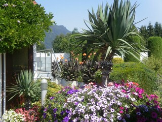 Appartamento per vacanze Bodensdorf Registrazione all'aperto 2