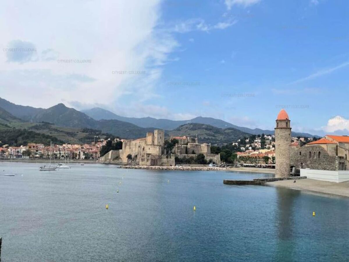 Appartement Collioure  1