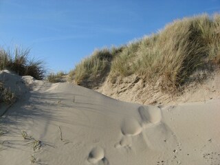 Bungalow Julianadorp Ambiente 28