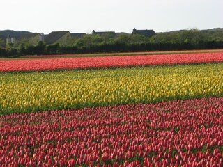 Bungalow Julianadorp Ambiente 26