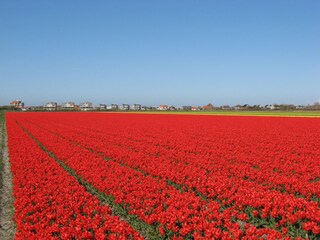 Bungalow Julianadorp Ambiente 27