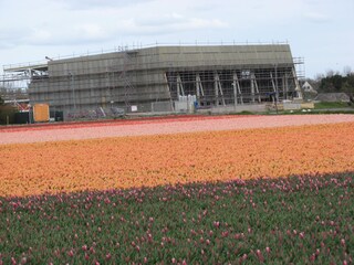 Bungalow Julianadorp Ambiente 24